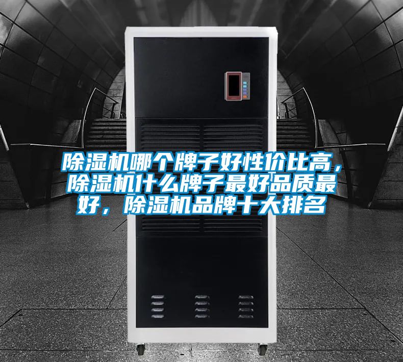 除濕機哪個(gè)牌子好性?xún)r(jià)比高，除濕機什么牌子最好品質(zhì)最好，除濕機品牌十大排名