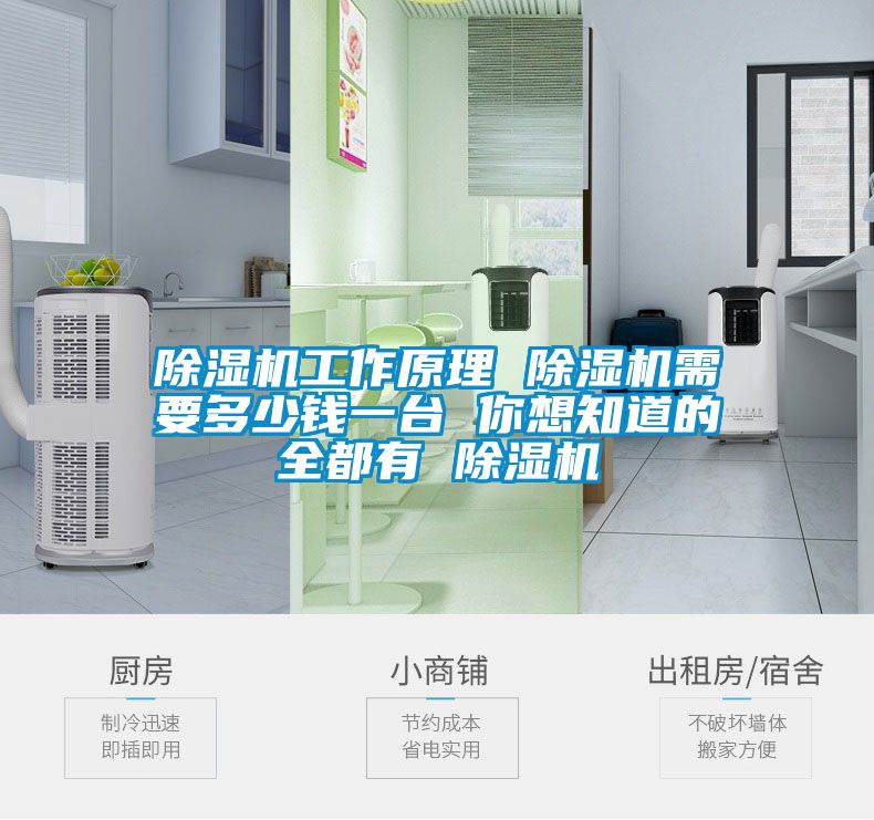 除濕機工作原理 除濕機需要多少錢(qián)一臺 你想知道的全都有 除濕機