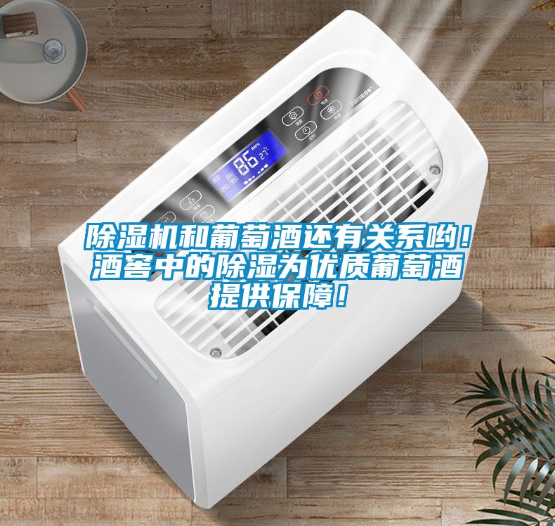 除濕機和葡萄酒還有關(guān)系喲！酒窖中的除濕為優(yōu)質(zhì)葡萄酒提供保障！