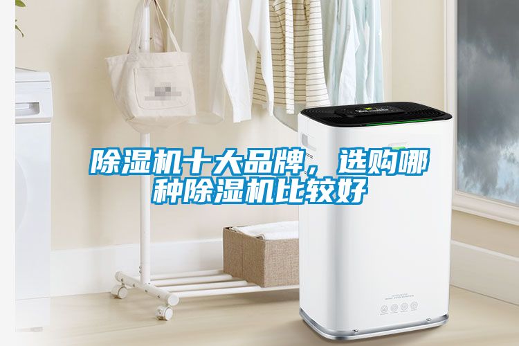 除濕機十大品牌，選購哪種除濕機比較好