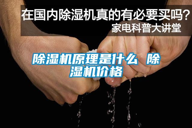 除濕機原理是什么 除濕機價(jià)格