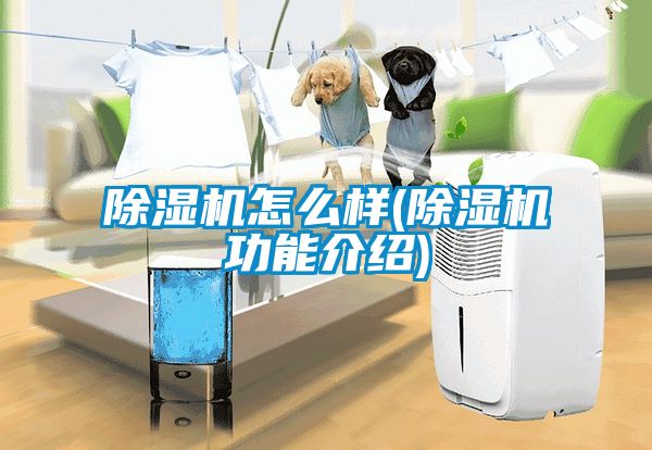 除濕機怎么樣(除濕機功能介紹)