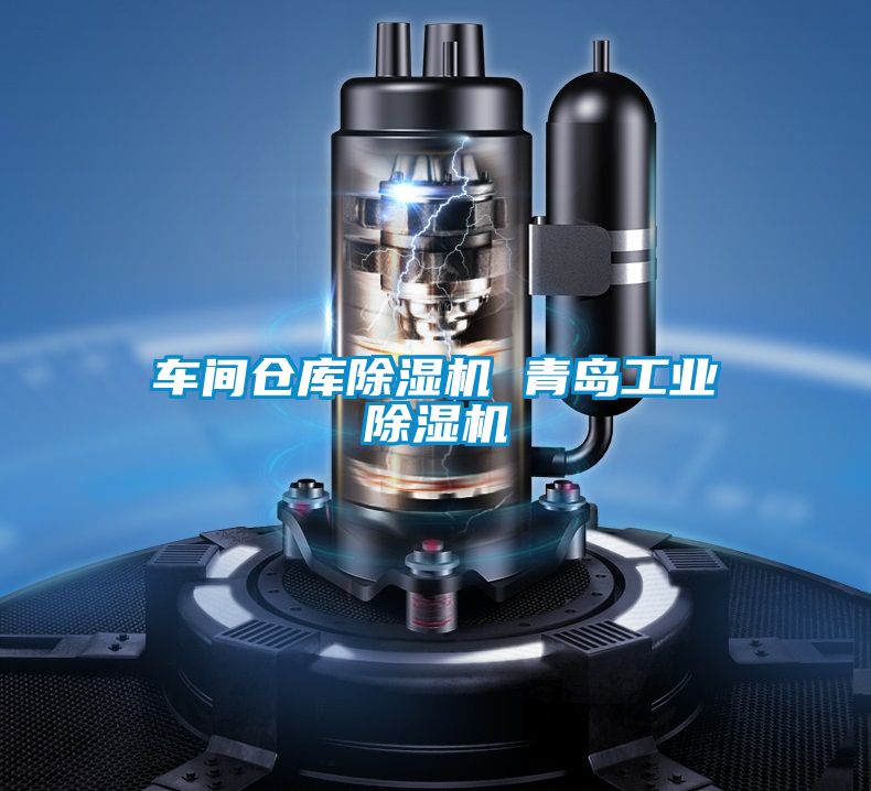 車(chē)間倉庫除濕機 青島工業(yè)除濕機