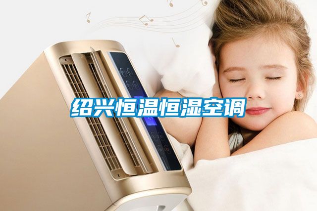 紹興恒溫恒濕空調