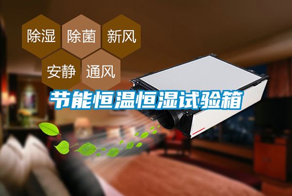 節能恒溫恒濕試驗箱