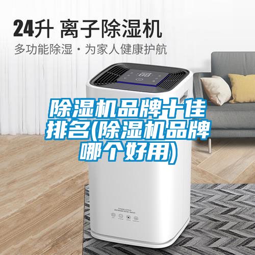 除濕機品牌十佳排名(除濕機品牌哪個(gè)好用)