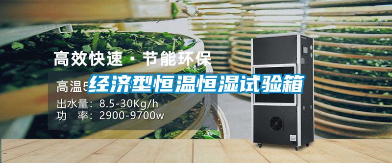 經(jīng)濟型恒溫恒濕試驗箱