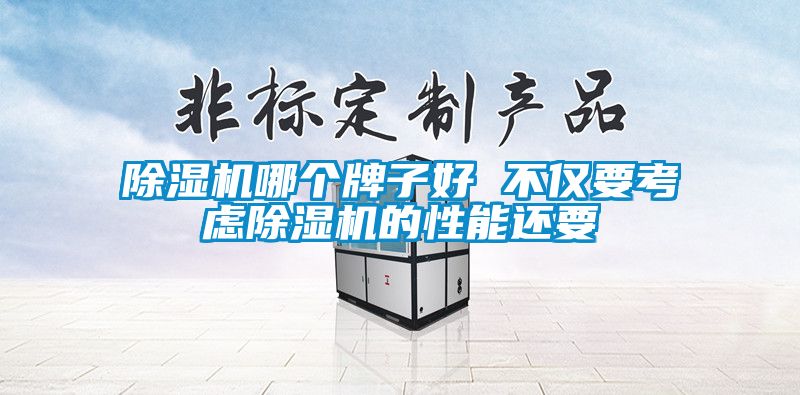 除濕機哪個(gè)牌子好 不僅要考慮除濕機的性能還要