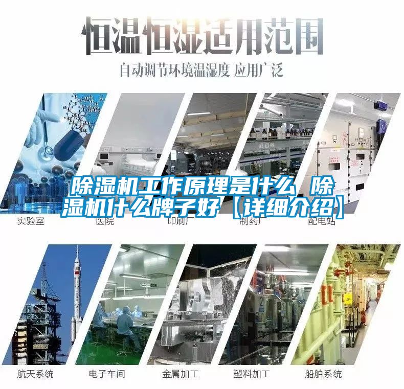 除濕機工作原理是什么 除濕機什么牌子好【詳細介紹】