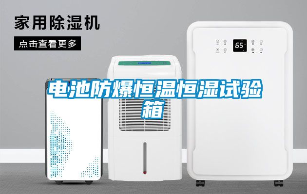 電池防爆恒溫恒濕試驗箱