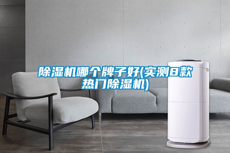 除濕機哪個(gè)牌子好(實(shí)測8款熱門(mén)除濕機)
