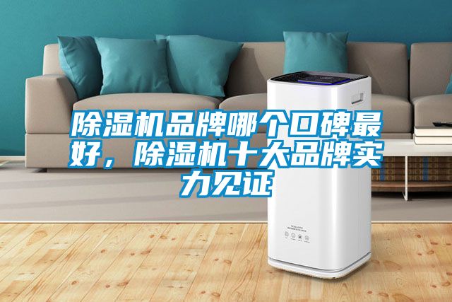 除濕機品牌哪個(gè)口碑最好，除濕機十大品牌實(shí)力見(jiàn)證