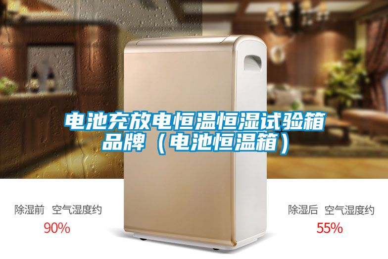 電池充放電恒溫恒濕試驗箱品牌（電池恒溫箱）