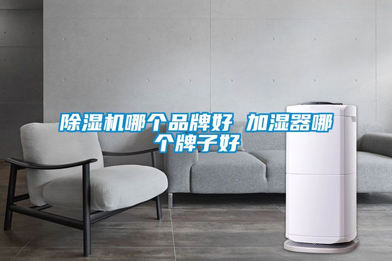 除濕機哪個(gè)品牌好 加濕器哪個(gè)牌子好