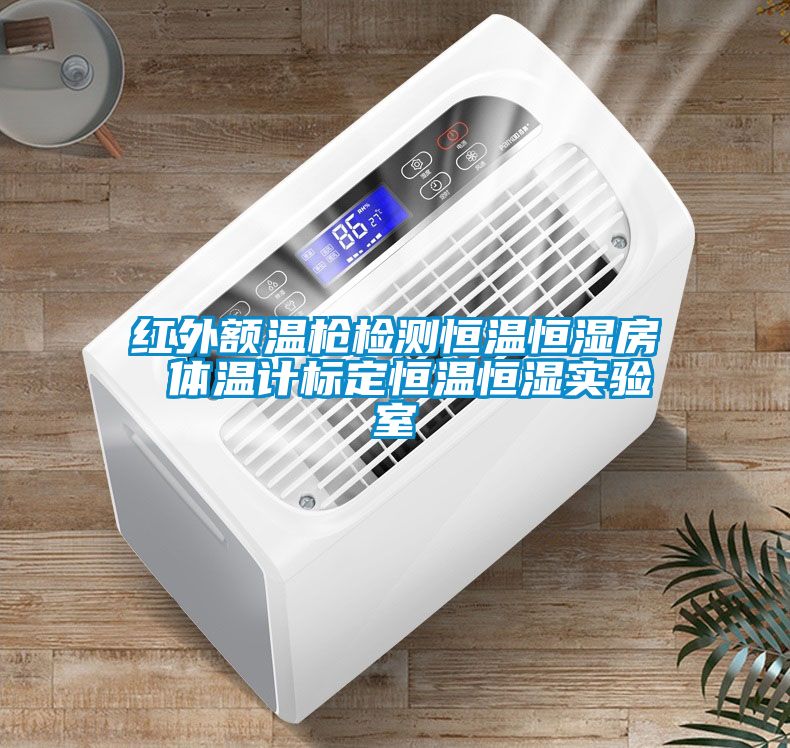 紅外額溫槍檢測恒溫恒濕房 體溫計標定恒溫恒濕實(shí)驗室