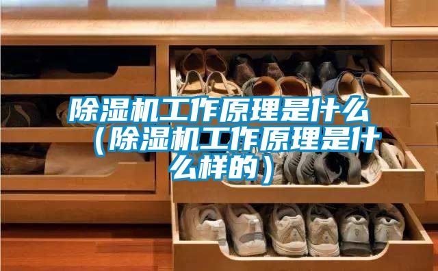 除濕機工作原理是什么（除濕機工作原理是什么樣的）