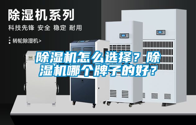 除濕機怎么選擇？除濕機哪個(gè)牌子的好？