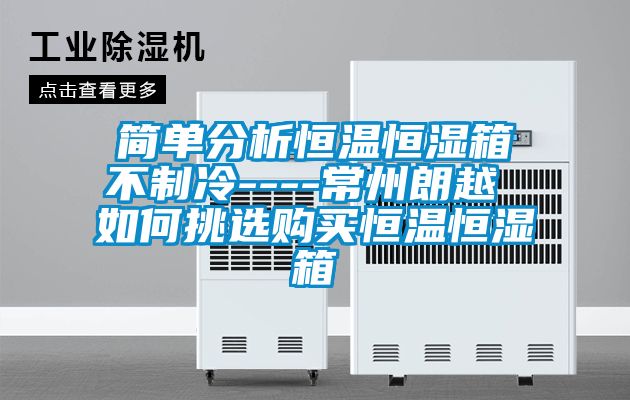 簡(jiǎn)單分析恒溫恒濕箱不制冷----常州朗越 如何挑選購買(mǎi)恒溫恒濕箱