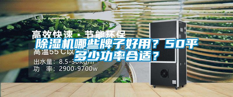 除濕機哪些牌子好用？50平多少功率合適？