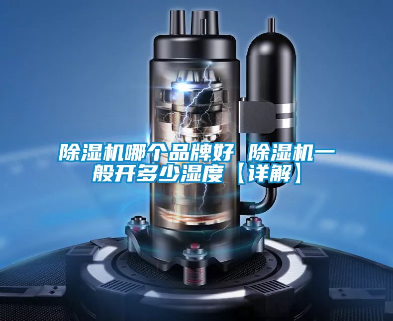 除濕機哪個(gè)品牌好 除濕機一般開(kāi)多少濕度【詳解】