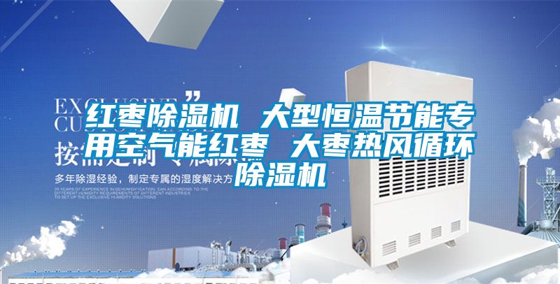紅棗除濕機 大型恒溫節能專(zhuān)用空氣能紅棗 大棗熱風(fēng)循環(huán)除濕機