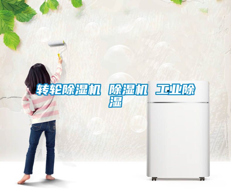 轉輪除濕機 除濕機 工業(yè)除濕