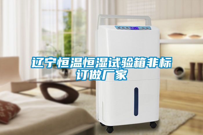 遼寧恒溫恒濕試驗箱非標訂做廠(chǎng)家