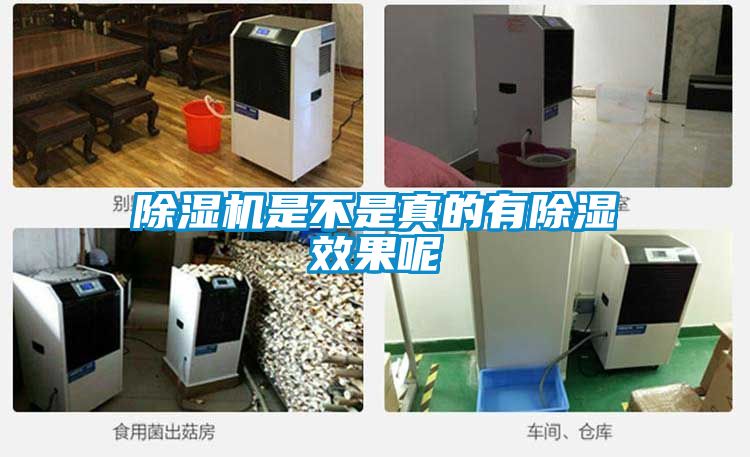 除濕機是不是真的有除濕效果呢