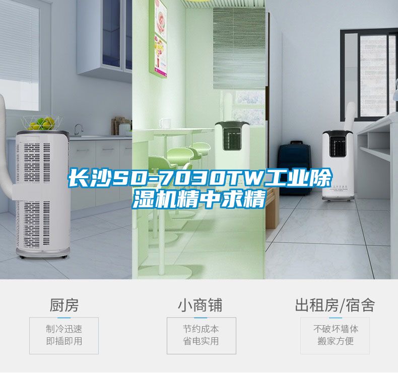 長(cháng)沙SD-7030TW工業(yè)除濕機精中求精