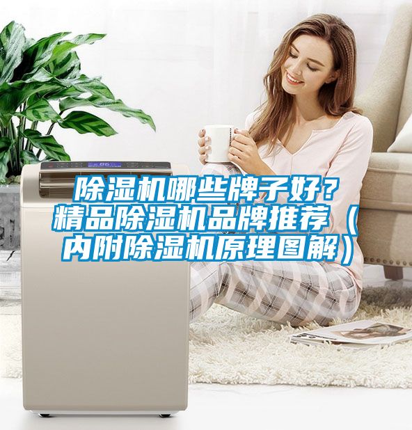 除濕機哪些牌子好？精品除濕機品牌推薦（內附除濕機原理圖解）
