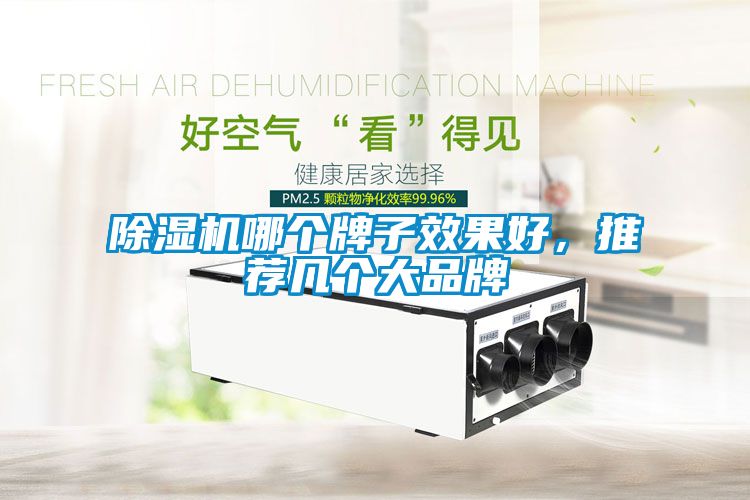 除濕機哪個(gè)牌子效果好，推薦幾個(gè)大品牌