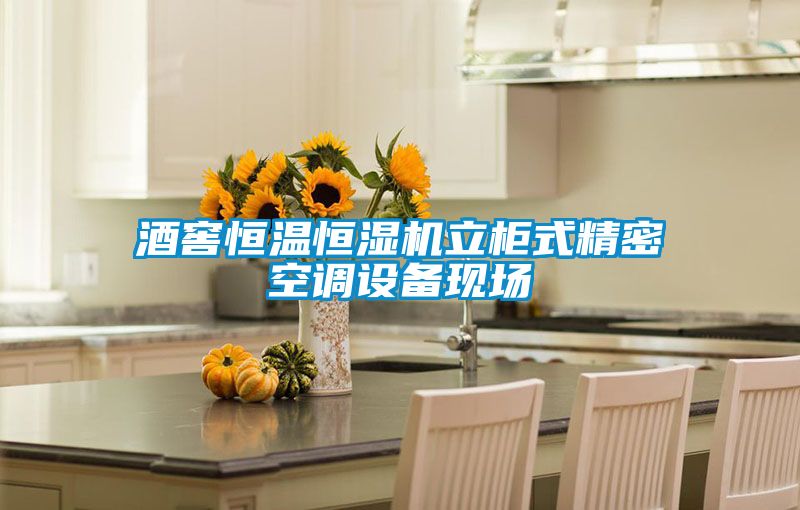 酒窖恒溫恒濕機立柜式精密空調設備現場(chǎng)