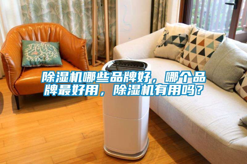 除濕機哪些品牌好，哪個(gè)品牌最好用，除濕機有用嗎？