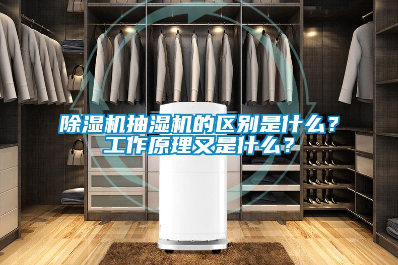 除濕機抽濕機的區別是什么？工作原理又是什么？