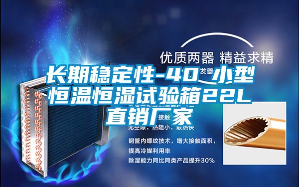 長(cháng)期穩定性-40℃小型恒溫恒濕試驗箱22L直銷(xiāo)廠(chǎng)家