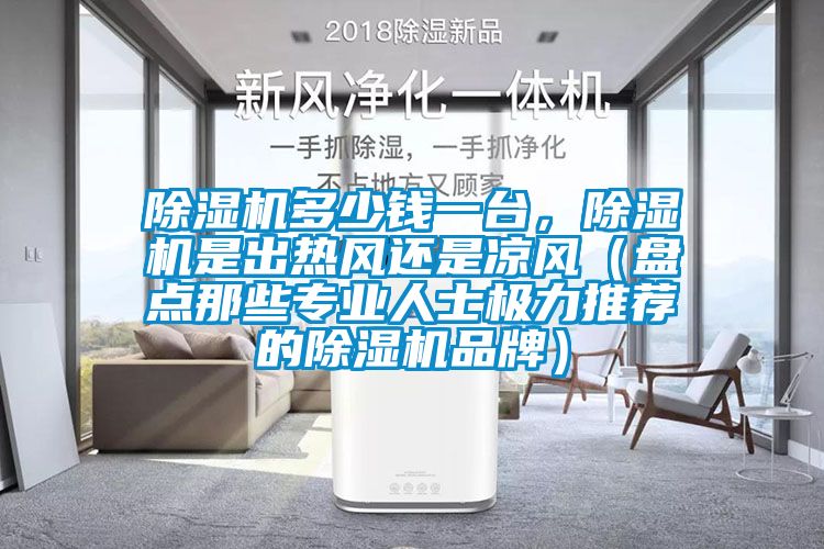 除濕機多少錢(qián)一臺，除濕機是出熱風(fēng)還是涼風(fēng)（盤(pán)點(diǎn)那些專(zhuān)業(yè)人士極力推薦的除濕機品牌）