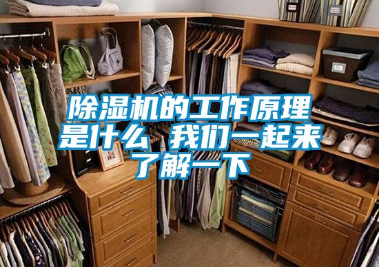 除濕機的工作原理是什么 我們一起來(lái)了解一下