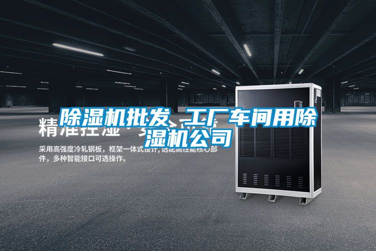除濕機批發(fā) 工廠(chǎng)車(chē)間用除濕機公司