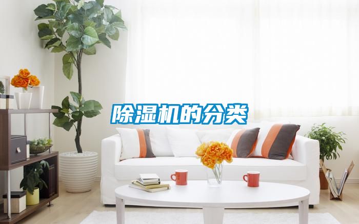 除濕機的分類(lèi)