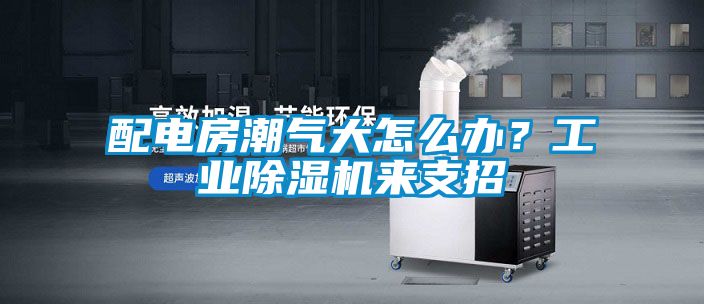 配電房潮氣大怎么辦？工業(yè)除濕機來(lái)支招