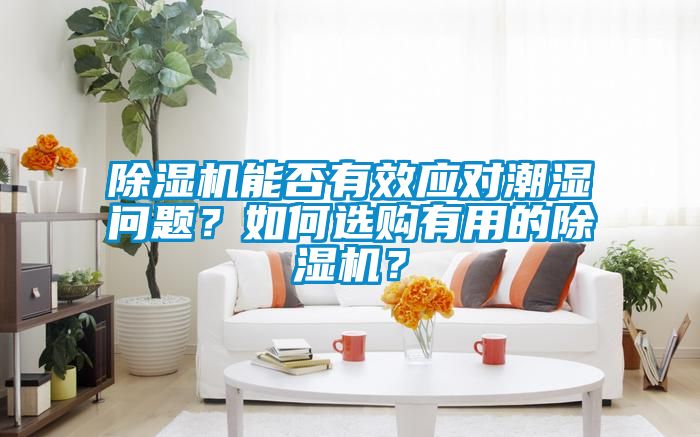 除濕機能否有效應對潮濕問(wèn)題？如何選購有用的除濕機？