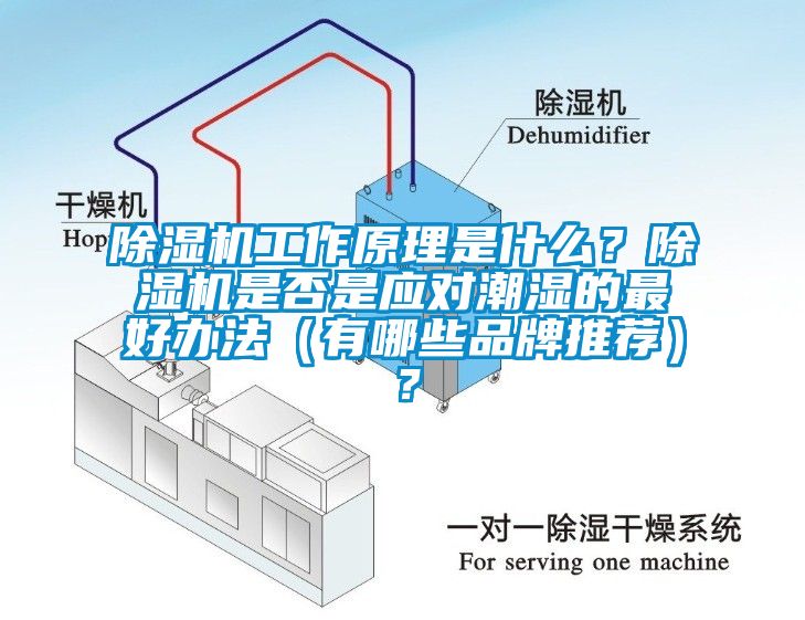 除濕機工作原理是什么？除濕機是否是應對潮濕的最好辦法（有哪些品牌推薦）？