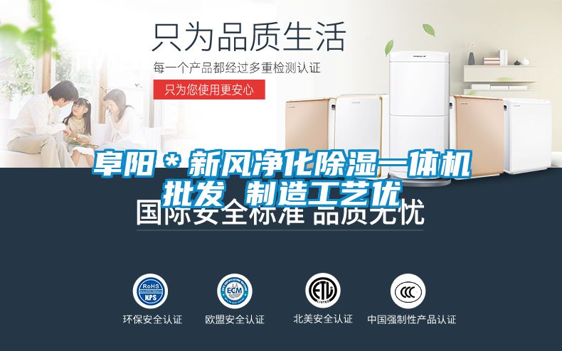 阜陽(yáng)＊新風(fēng)凈化除濕一體機批發(fā) 制造工藝優(yōu)
