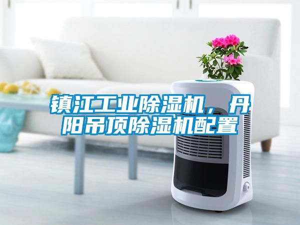 鎮江工業(yè)除濕機，丹陽(yáng)吊頂除濕機配置