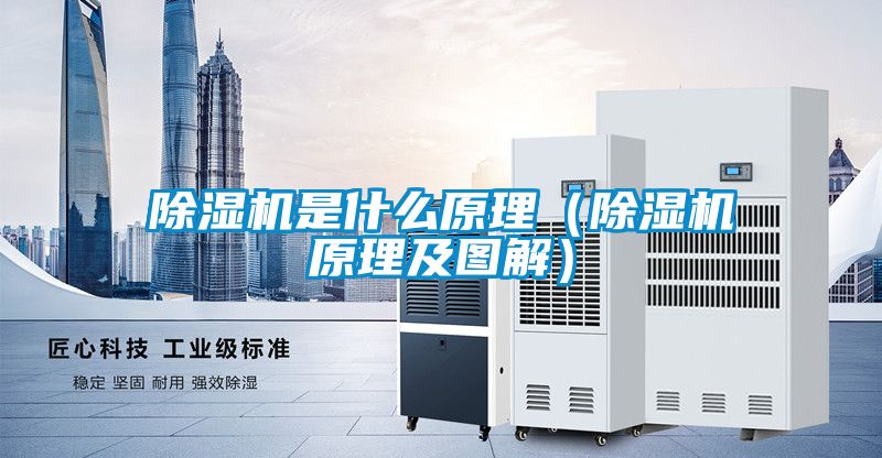 除濕機是什么原理（除濕機原理及圖解）
