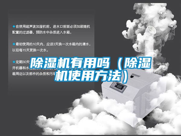 除濕機有用嗎（除濕機使用方法）