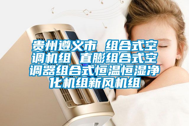 貴州遵義市 組合式空調機組 直膨組合式空調器組合式恒溫恒濕凈化機組新風(fēng)機組