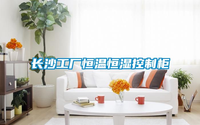 長(cháng)沙工廠(chǎng)恒溫恒濕控制柜