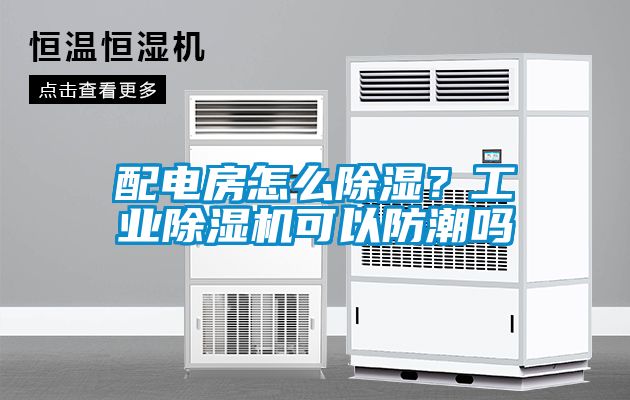 配電房怎么除濕？工業(yè)除濕機可以防潮嗎