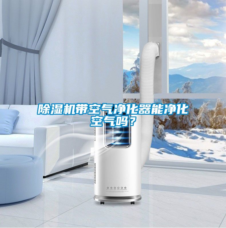 除濕機帶空氣凈化器能凈化空氣嗎？